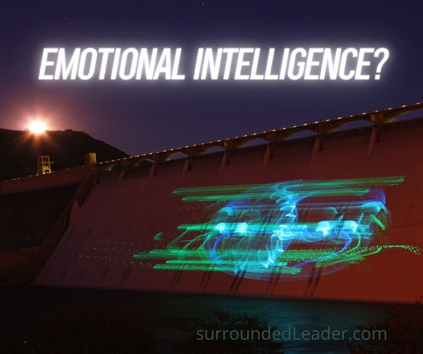 Emotional Intelligence Dam